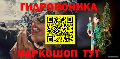 СК Шахты