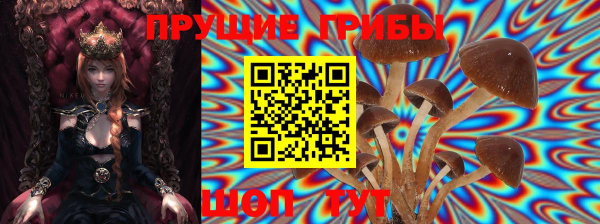 наркотики  Галлюциногенные грибы ЛСД  Нальчик  Вход с VPN  Галлюциногенные грибы Cubensis 