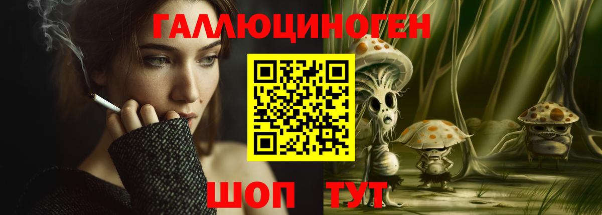 Псилоцибиновые грибы Psilocybine cubensis Нальчик